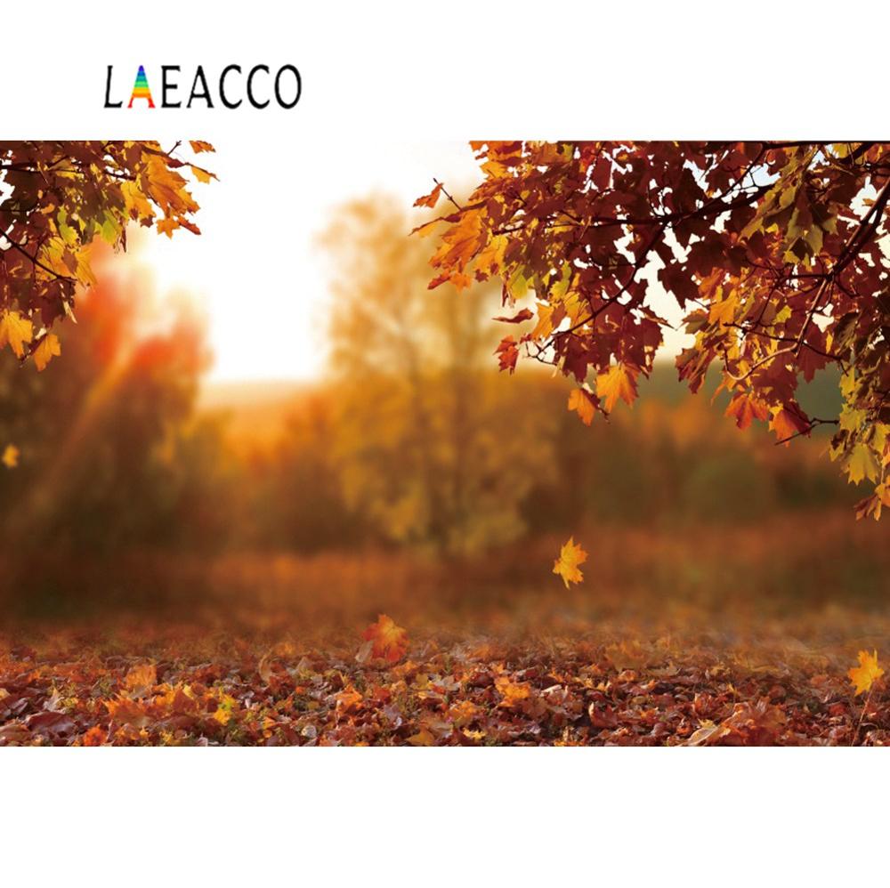Laeacco     ǳ , Bokeh ,  ʻȭ,   